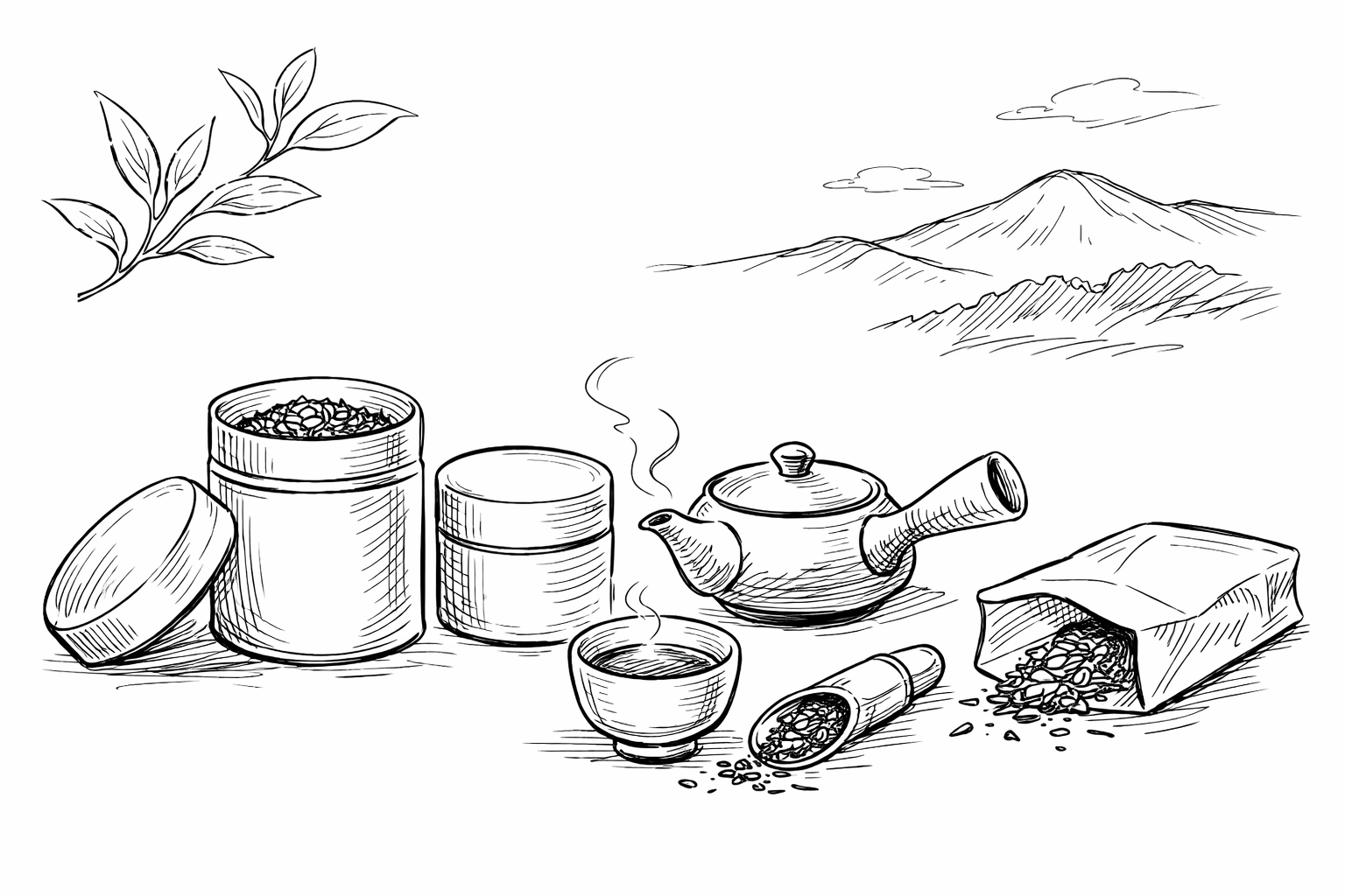 お茶の保存、茶筒で本当に変わる?